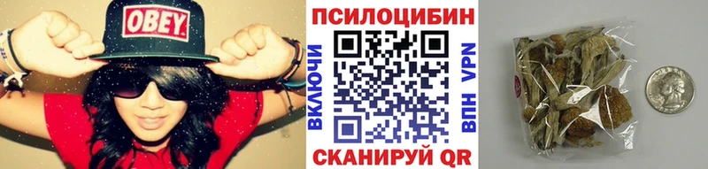 купить  сайты  Салаир  Галлюциногенные грибы GOLDEN TEACHER 